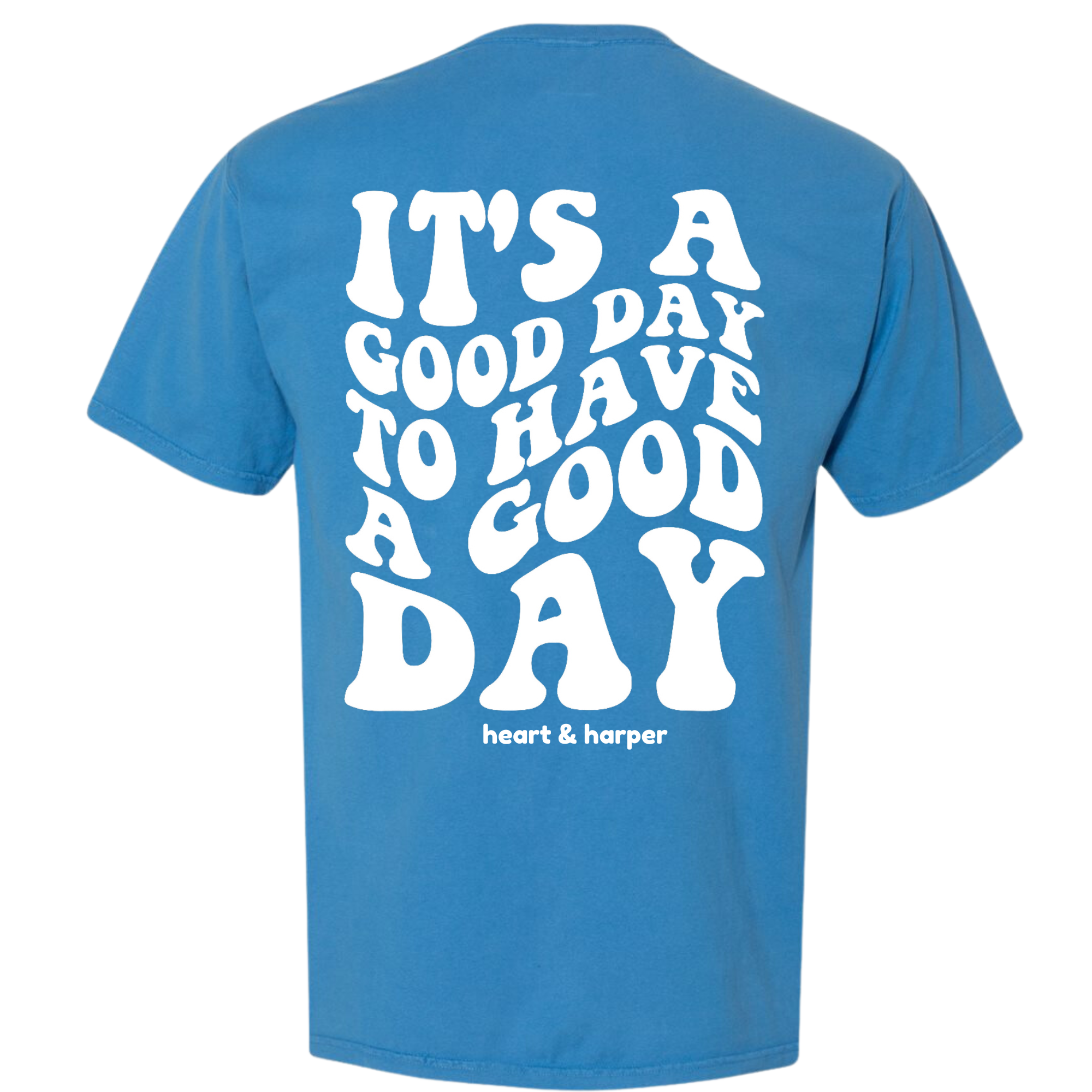 It's a Good Day for a Good Day Blue T-Shirt